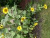 47A184AB-FFCC-465A-A26F-00A1D34DE816.jpeg