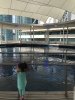 IMG_9319.jpeg