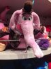 67E36596-25AC-4309-B951-B44D8378152C.jpeg