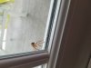 20190611_141135.jpg
