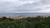 20190508_124727.jpg