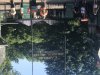 1D21478C-E1EA-4F74-94EF-2A916C8351DB.jpeg
