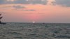 IMG_20190526_201636908.jpg