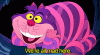 6A3F34BE-F862-4E8A-BD26-C5AB4D8B07F2.gif