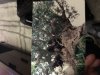 IMG_2144.jpeg