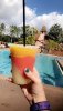 coronado springs.JPG