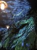 10C6AA04-D676-4EC8-B4D0-5FC942FFE88A.jpeg