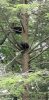 20190614_114906-1470x3024.jpg