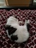 20181208_092101.jpg