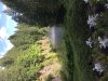 7014A2CB-D537-434E-A009-7F56C8F16E55.jpeg