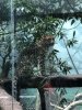 IMG_2295.JPG
