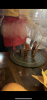 BE12B556-8144-4863-AECA-08360381E2C0.png