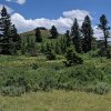IMG_20190701_093726_496.jpg