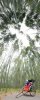 20190520_091548 resize3.jpg