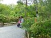 P1070336.JPG