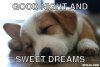 986AEEB2-247C-4A87-B14D-459CA1278F7A.jpeg