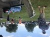 5D6EF449-75B4-4CE1-BE18-34BB4AB47AF3.jpeg