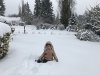 IMG_9459.jpeg