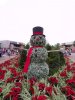 100_0503.JPG