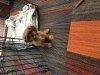 229DE328-B008-468A-AA3B-850CAD4D88ED.jpeg