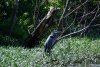 DSC_2354.JPG