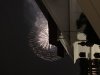 08F82537-2748-4D17-9ECD-B053103505CB.jpeg