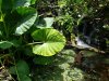 20190701_123307.jpg