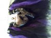 20190714_142917.jpg