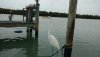 IMG_20190713_135539901.jpg