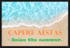 Seize the Summer Meme.png