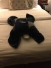 bed animal.jpg