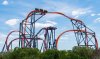 Tigris Track with SheiKra.jpg