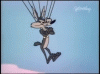 Wile E.gif