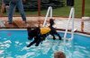 DSCN4003.JPG