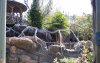 IOA Camp Jurassic 2.JPG