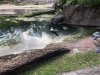 3AE0F5B0-9757-4703-9AEA-1B94C46CCAF8.jpeg
