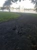 track.jpg