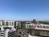 IMG_9920.jpeg