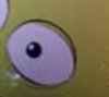 crop9091.jpg