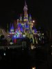 IMG_3918.jpg
