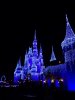 100_0521.JPG