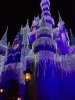 IMG_4780.JPG