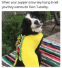 423357
