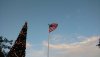 MK flag and tree.jpg