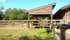FW POD horse in barn.jpg