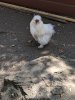 IMG_20190727_124511.jpg