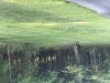 DF38C601-333C-4727-A6D3-D9157DEBBDE7.jpeg