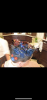0482302C-833D-4C49-866D-D3C8CA6FDA18.png