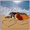 LadyTrampbeachhearts.jpg