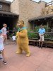 IMG_5234.jpg